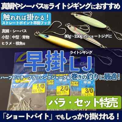 ジガーライト早掛 ライトジギング(1/0・2/0・3/0・4/0)